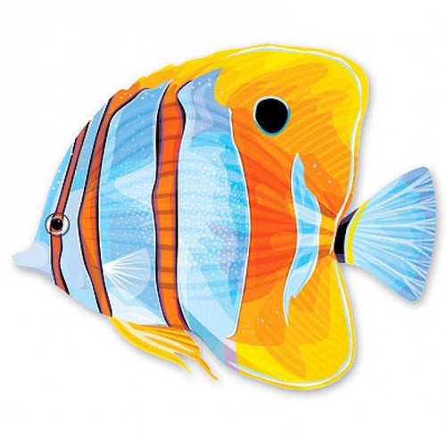 Плакат рыбка голубая, 38х31 см
