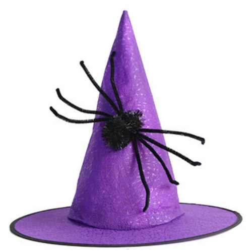 Колпак Ведьмы фиолетовый с пауком